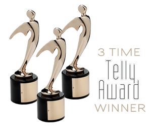 3 Time Telly Award Winner